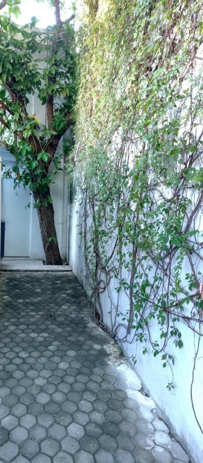 Estudio Zona Centro Cerca De La Terminal Ado Канкун Екстер'єр фото